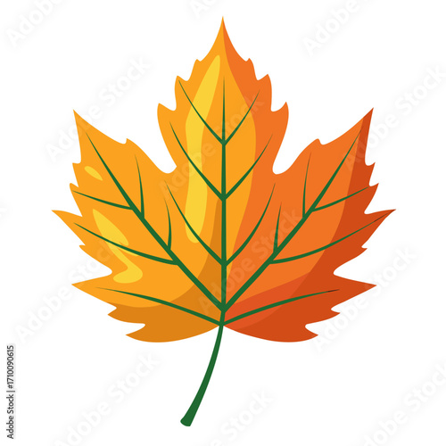 autumn leaves isolated on white background