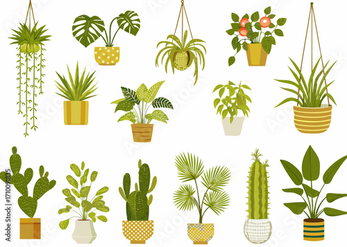 Collection of various potted and hanging houseplants in flat design style