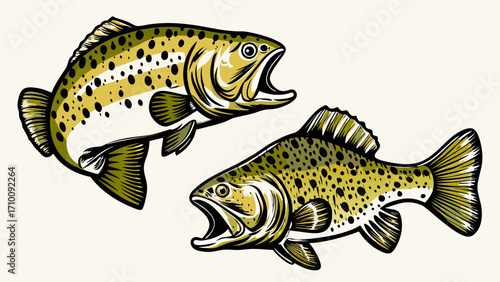 Two speckled trout fish open mouths isolated on white background