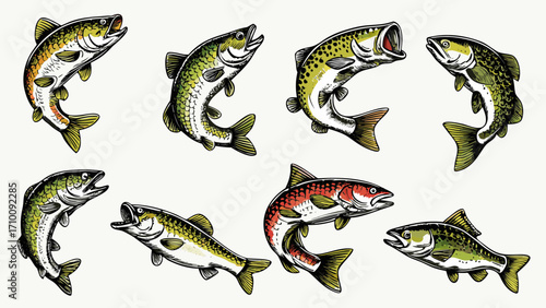 Collection of illustrated freshwater fish species in dynamic poses