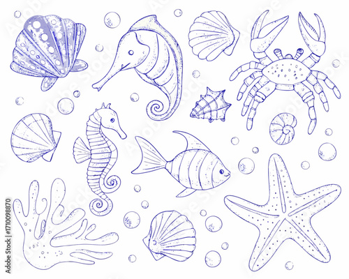 Hand drawn blue ink illustration of sea creatures and shells on white background