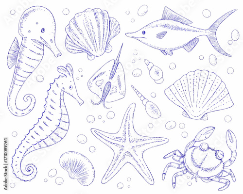 Collection of hand drawn blue line art ocean creatures and shells