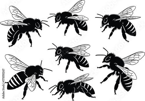 Bee silhouette vector collection, flying honey bees illustration, insect graphic design, nature symbol, pollination concept, entomology artwork, isolated insects