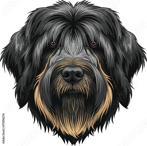 Briard dog face headshot portrait vector illustration