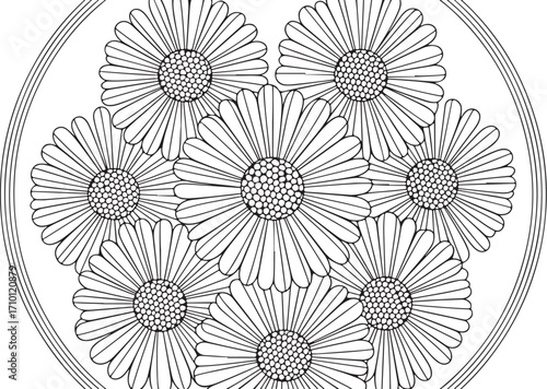 Intricate Daisy Mandala Coloring Page – Relaxing Floral Art for Adults