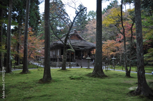 紅葉