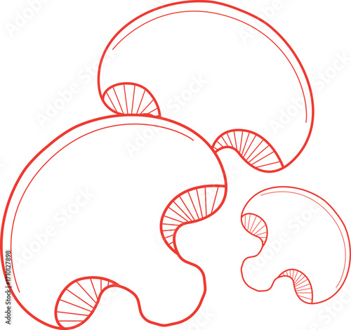 Stylized Mushroom Cluster Line Art Drawing