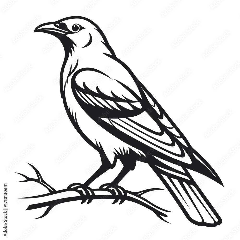 Obraz premium Crow on Branch Illustration