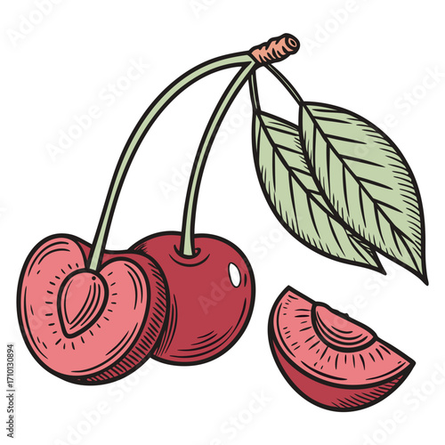 Hand-drawn illustration of vibrant red cherries, depicting fresh fruit with a natural and sweet appeal