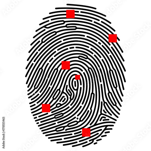 Fingerprint identification biometric security concept digital identity.