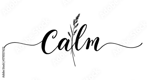 Decorative script font with the word "Calm" and a sprig design of muhly grass
