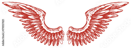 Vector red angel wings with feathers and patterns