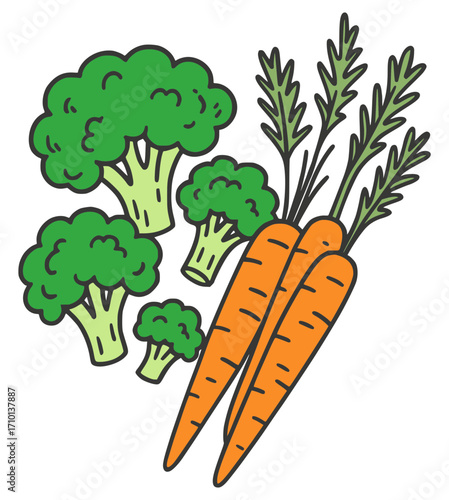 Vector illustrations of vegetables with broccoli and carrots