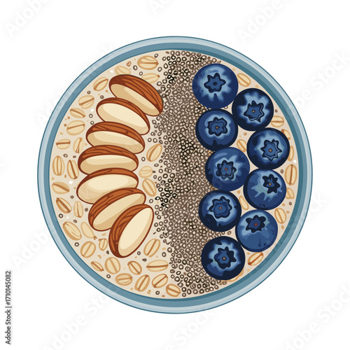 Oatmeal Bowl with Blueberries Almonds and Chia Seeds Vector