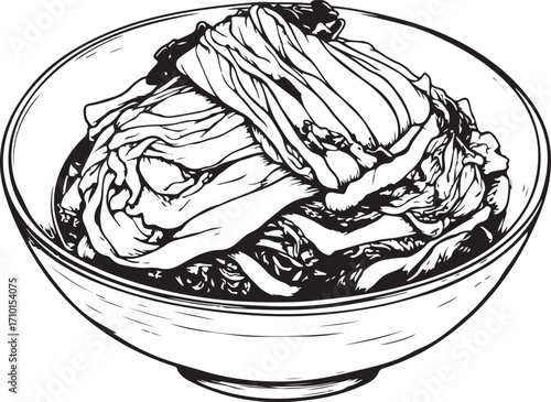 Kimchi Korean Cabbage Vector Illustration, Sketch Drawing Line Linear Symbol Icon Engraving Coloring Book, Hand-drawn Doodle Black and White Isolated