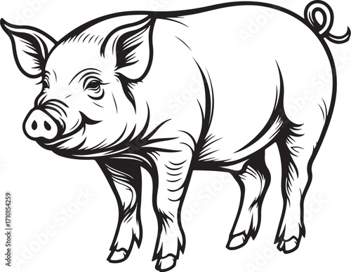 Pig Standing, Pork Meat Vector Illustration, Sketch Drawing Line Linear Symbol Icon Engraving Coloring Book, Hand-drawn Doodle Black and White Isolated
