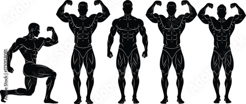 Silhouettes of muscular male bodybuilders, flexing poses, fitness, bodybuilding competition, strong physique, gym training, athletic men, muscle definition, strength, workout routine