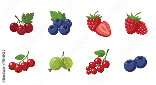 Collection of colorful fresh berries including blueberries raspberries and currants