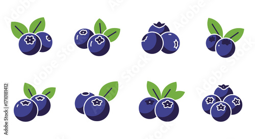 Fresh blueberries with green leaves presented in a colorful illustration style