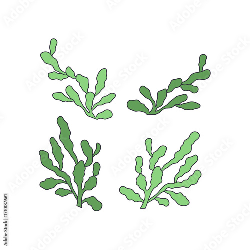 Green seaweed hand drawn vector illustration set