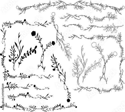 minimal botanical graphic sketch drawing