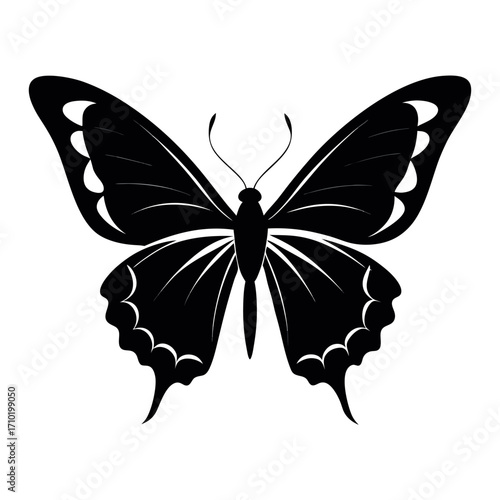Striking perfectly formed black butterfly silhouette design