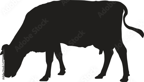 Black and White Holstein Dairy Cow Grazing – Farm Animal Illustration
