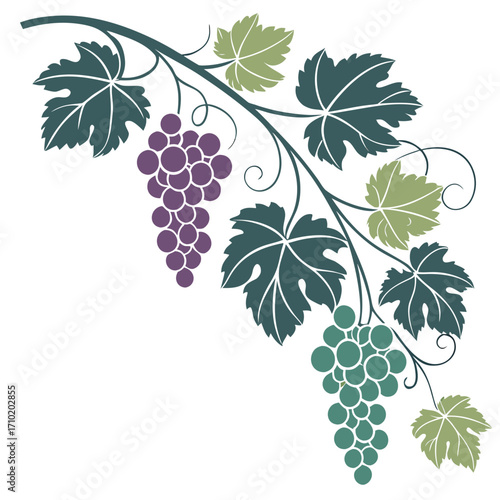 Minimal Vineyard Fusion Pattern