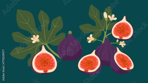 Ripe Figs, Whole and Sliced, with Green Leaves and Blossoms. Botanical Fruit Illustration.