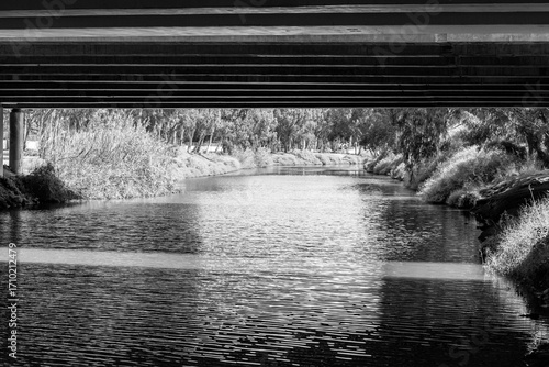 Yarkon Park is a large park in Tel Aviv, Israel