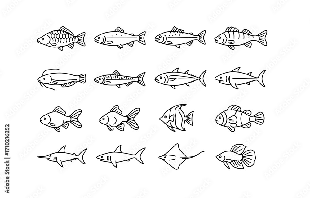 Fototapeta premium Variety of fish in simple line art style on white background