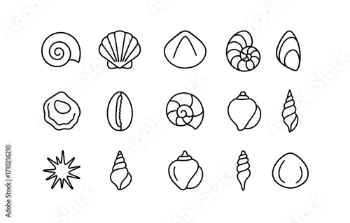 Minimalist outline seashells and starfish icons collection