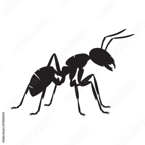 Detailed Silhouette Illustration of an Ant on White Background for Educational or Design Purposes and Biological Studies