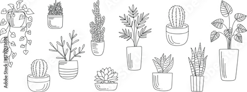 A set of potted plants vector line art illustrations in a clean, minimalist style, featuring various houseplants, cacti, and succulents for home decor.