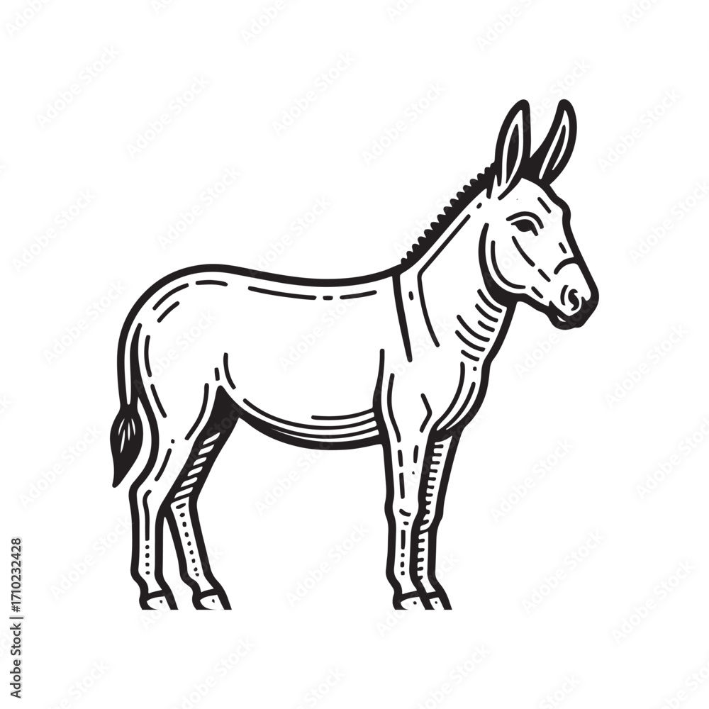 Obraz premium Donkey Standing Pose – Black and White Vector Line Art Farm Animal Illustration