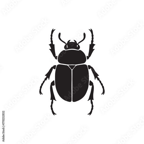 beetle vector on white background