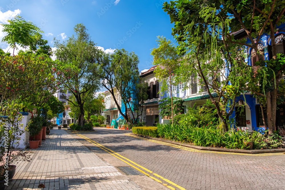 Naklejka premium シンガポール プラナカン様式の建物が並ぶ「エメラルド・ヒル」