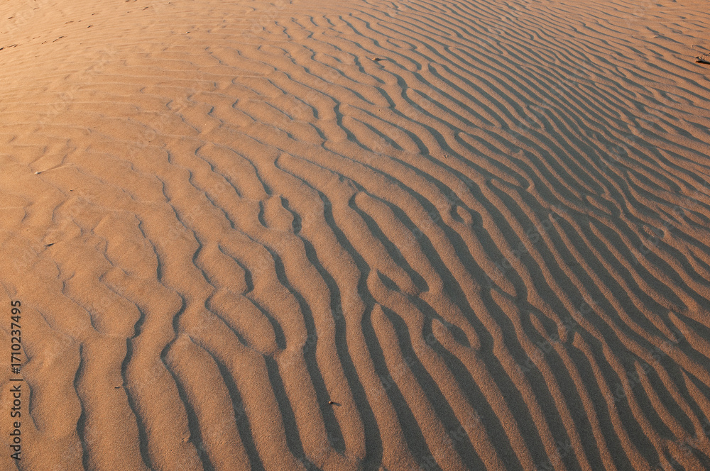 Obraz premium Natural designs and shapes in the sand, caused by the wind.