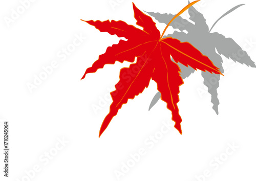 紅葉したカエデの葉のイラスト