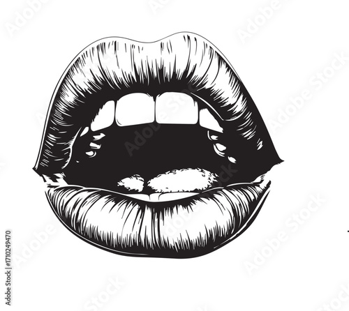 vector illustration of lips