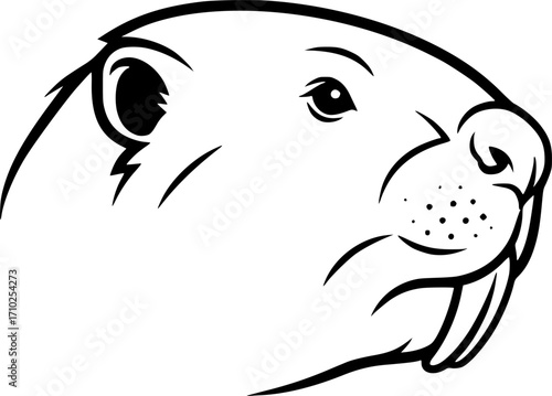 beaver head silhouette line art vector illustration with a white background
