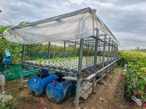 A modest outdoor hydroponic system features rows of young plants thriving in a pipe setup, sustained by water from blue barrels, all under a protective tarp against a cloudy sky.
