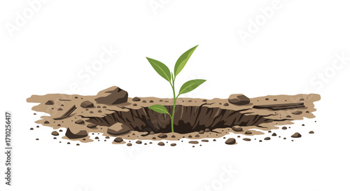 A young plant is growing in a small hole in the dry earth.