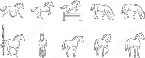 Elegant horse poses, capturing the grace and strength of the equine form in various stances and gaits in a line art style