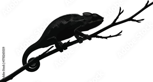 A striking silhouette of a chameleon perched a branch, its textured skin and coiled tail creating a captivating contrast against the stark