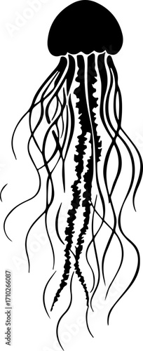 A jellyfish SVG adds a touch of the ocean to your designs.