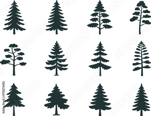 Different pine tree silhouettes, evergreen forest icons, conifer tree shapes, nature illustration set, black tree design collection, flat vector illustration