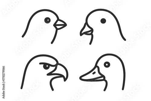 Bird head outline collection. Minimalist icon set of various bird species. Simple animal logos. Includes eagle, duck, pigeon, and sparrow. Vector wildlife symbols for design.