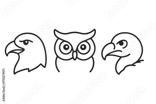 Bird of prey head line art collection. Eagle, owl, vulture minimal icons. Vector illustration set for logo or symbol design. Simple animal outline drawing pack concept.