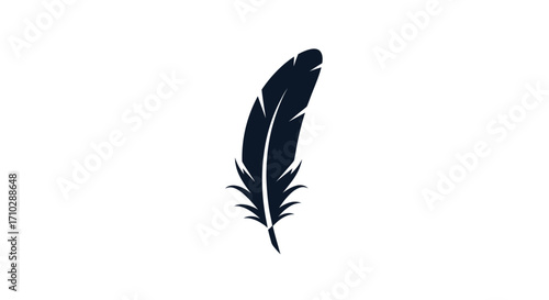 Elegant Dark Feather Illustration on White Background.